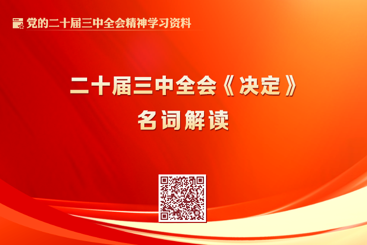 二十届三中全会《决定》系列名词解读